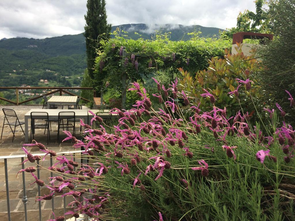Agriturismo Braccicorti Hotel Pieve Fosciana Exterior foto